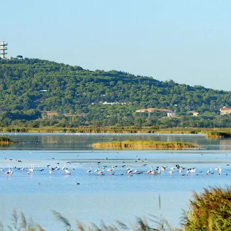 Les Terrasses De La Plage-1 By Interhome * Agde